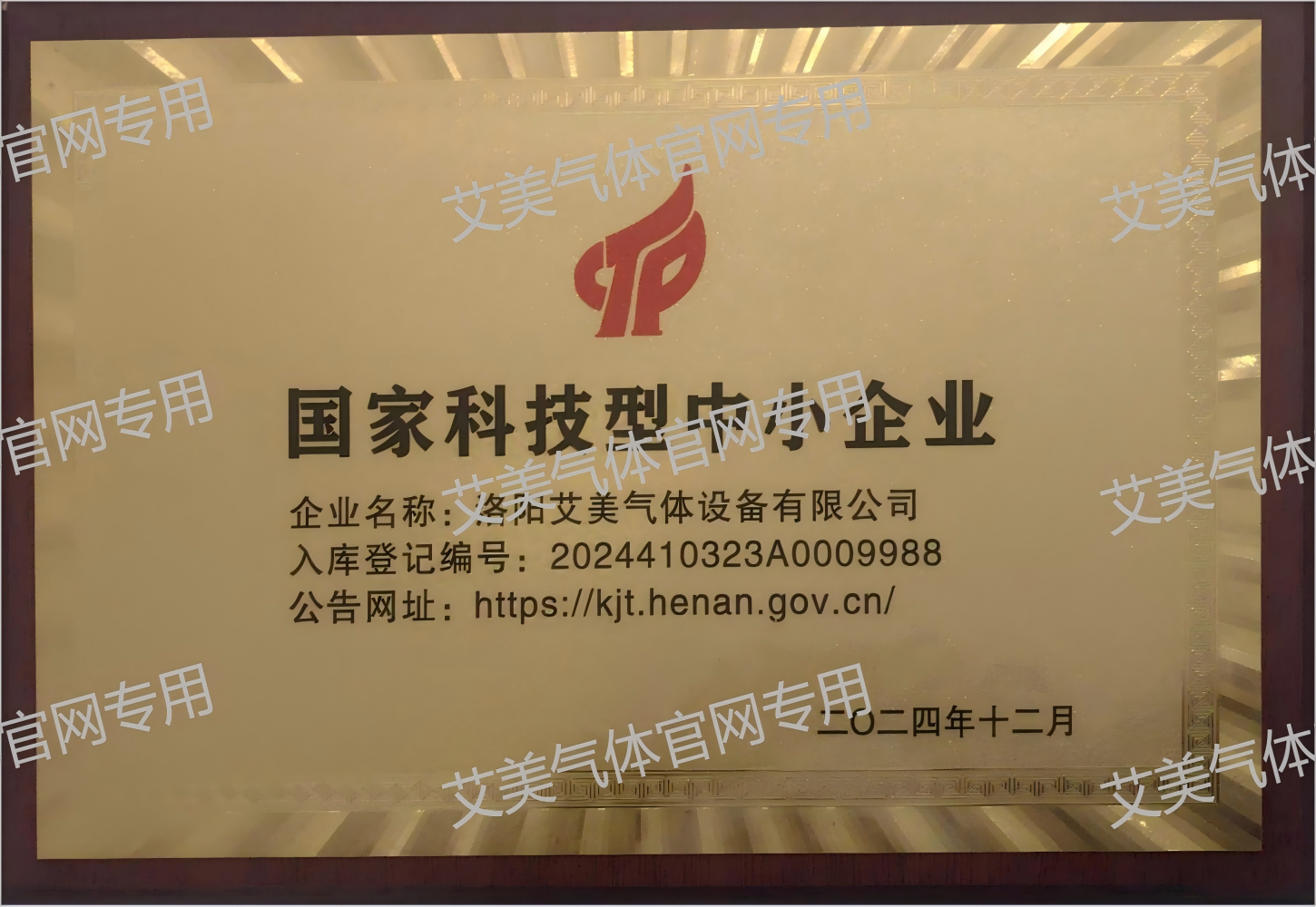 国家科技型中小企业